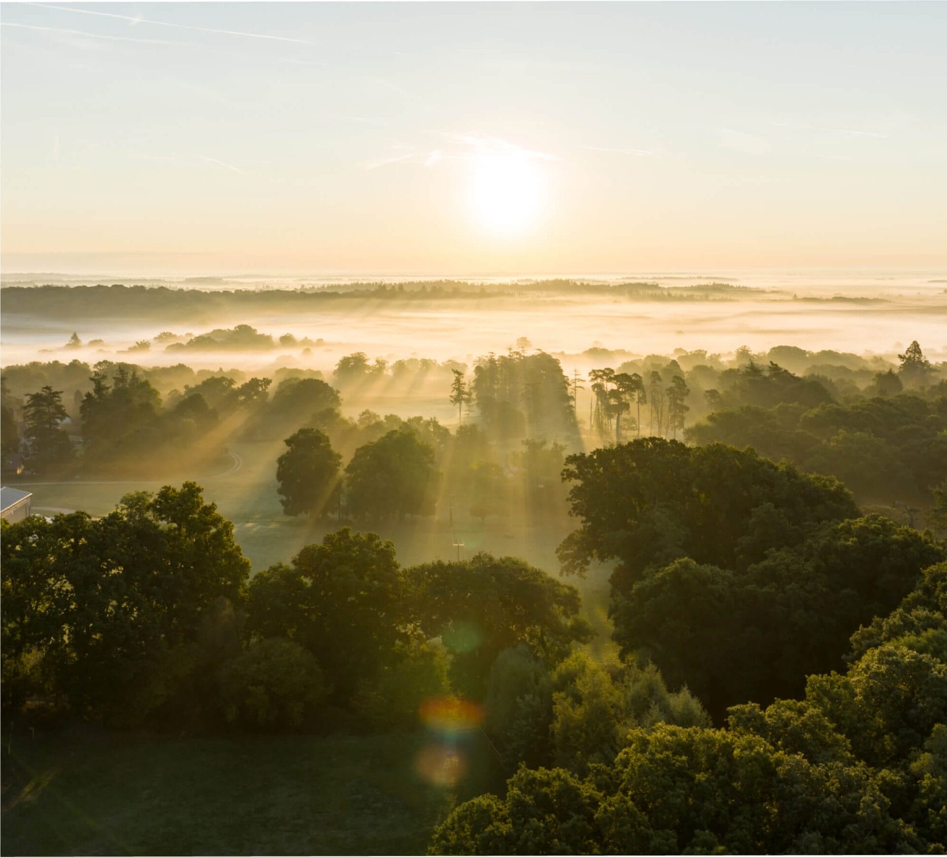 Sustainability and Biodiversity