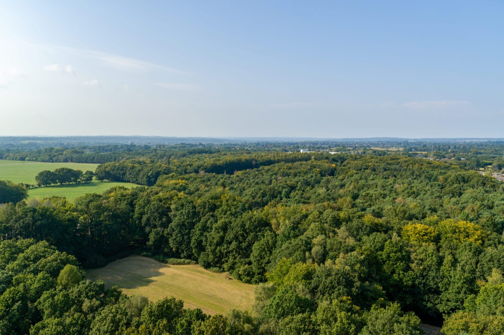 Mountbatten Park - Gallery - Local Area