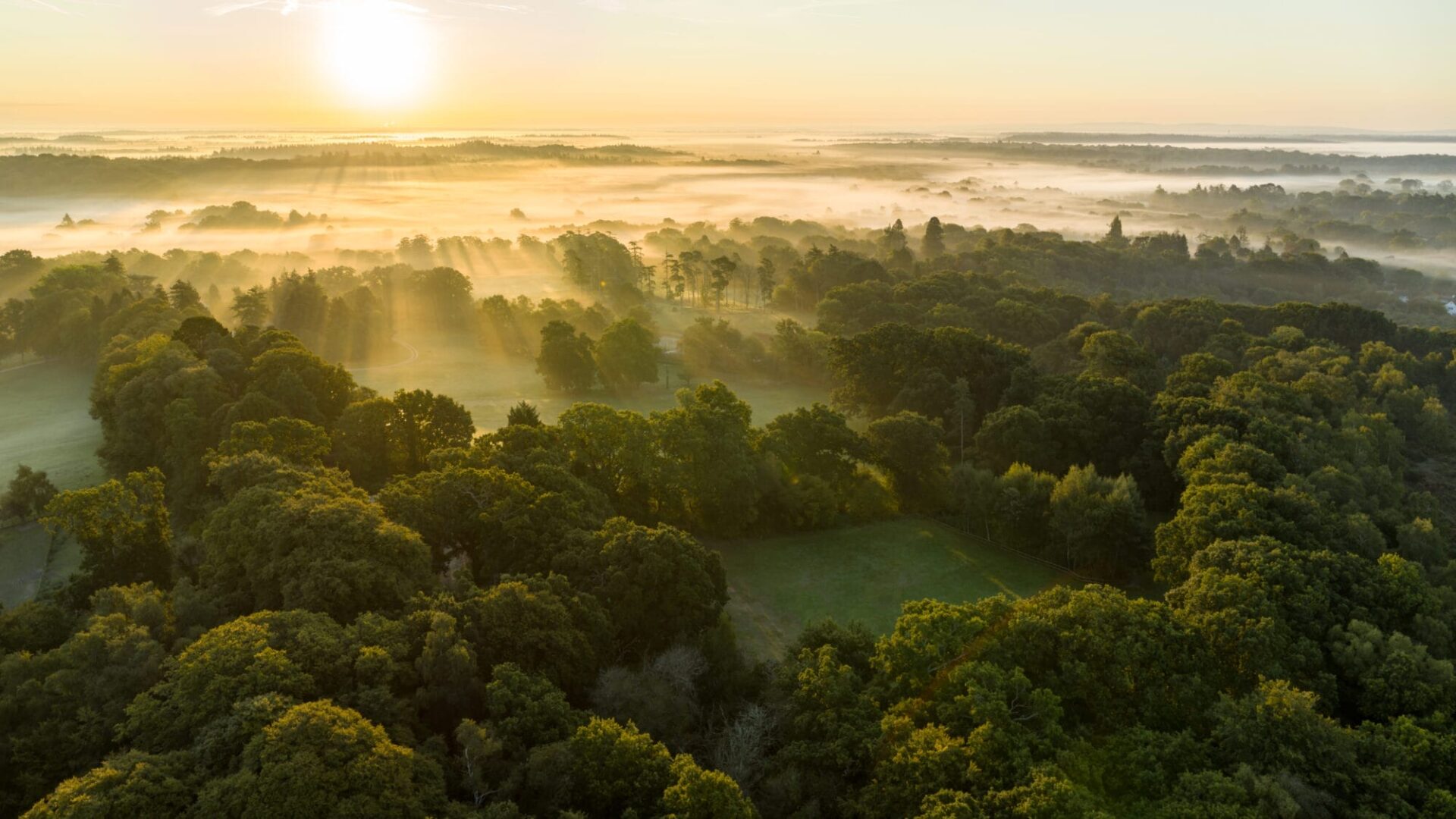 Mountbatten Park - Gallery - Local Area