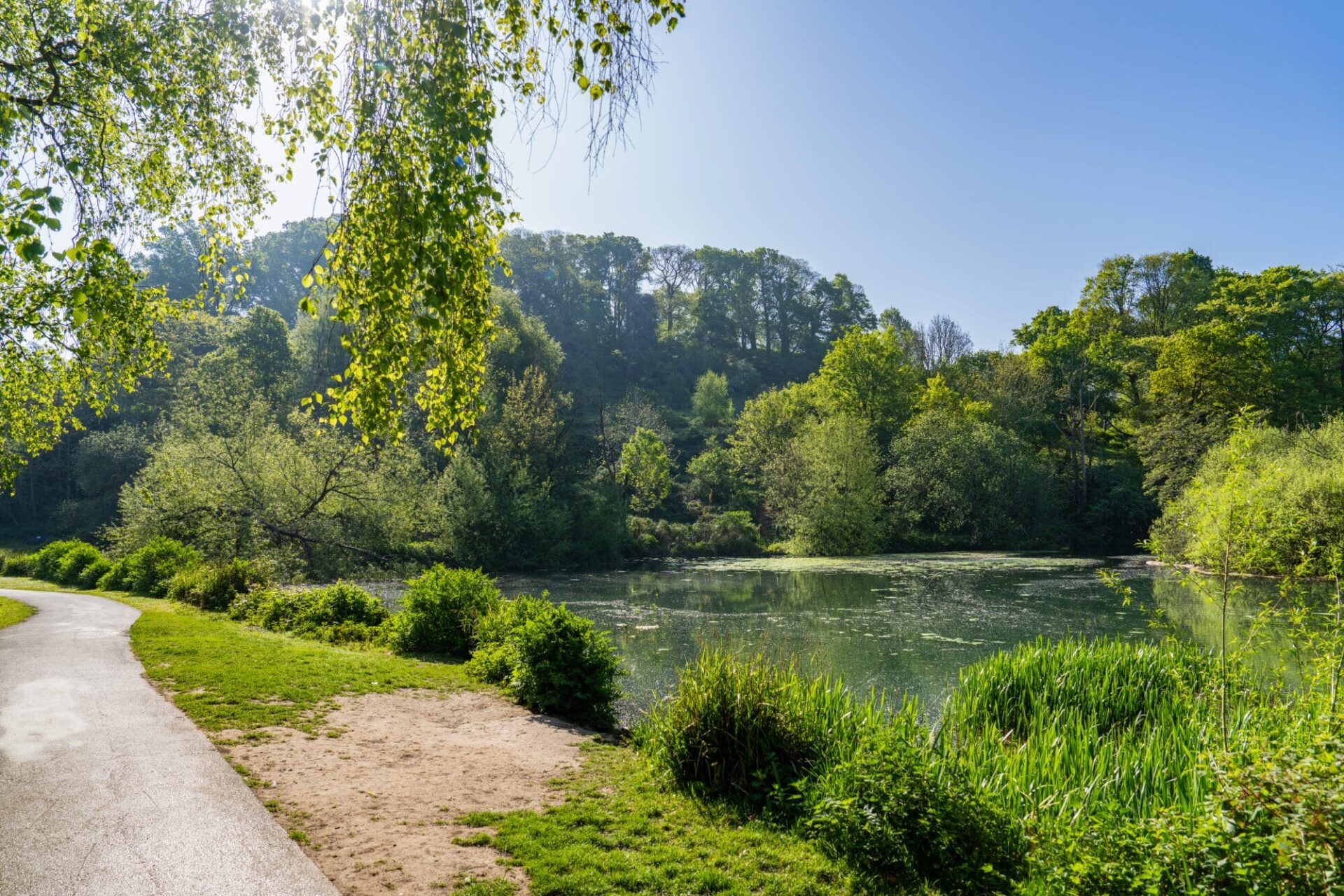 Brimsmore - Gallery - Local Area