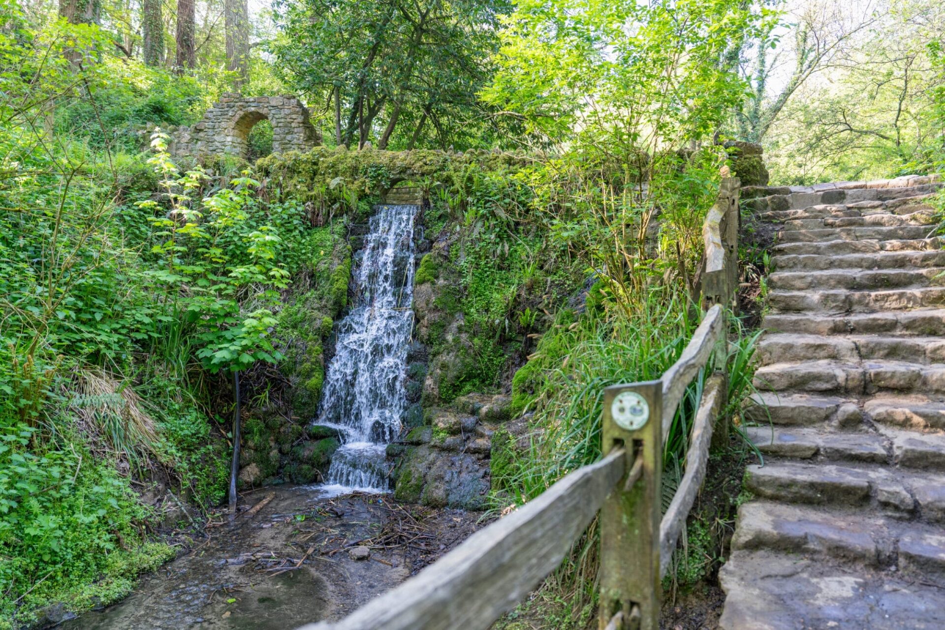 Brimsmore - Gallery - Local Area