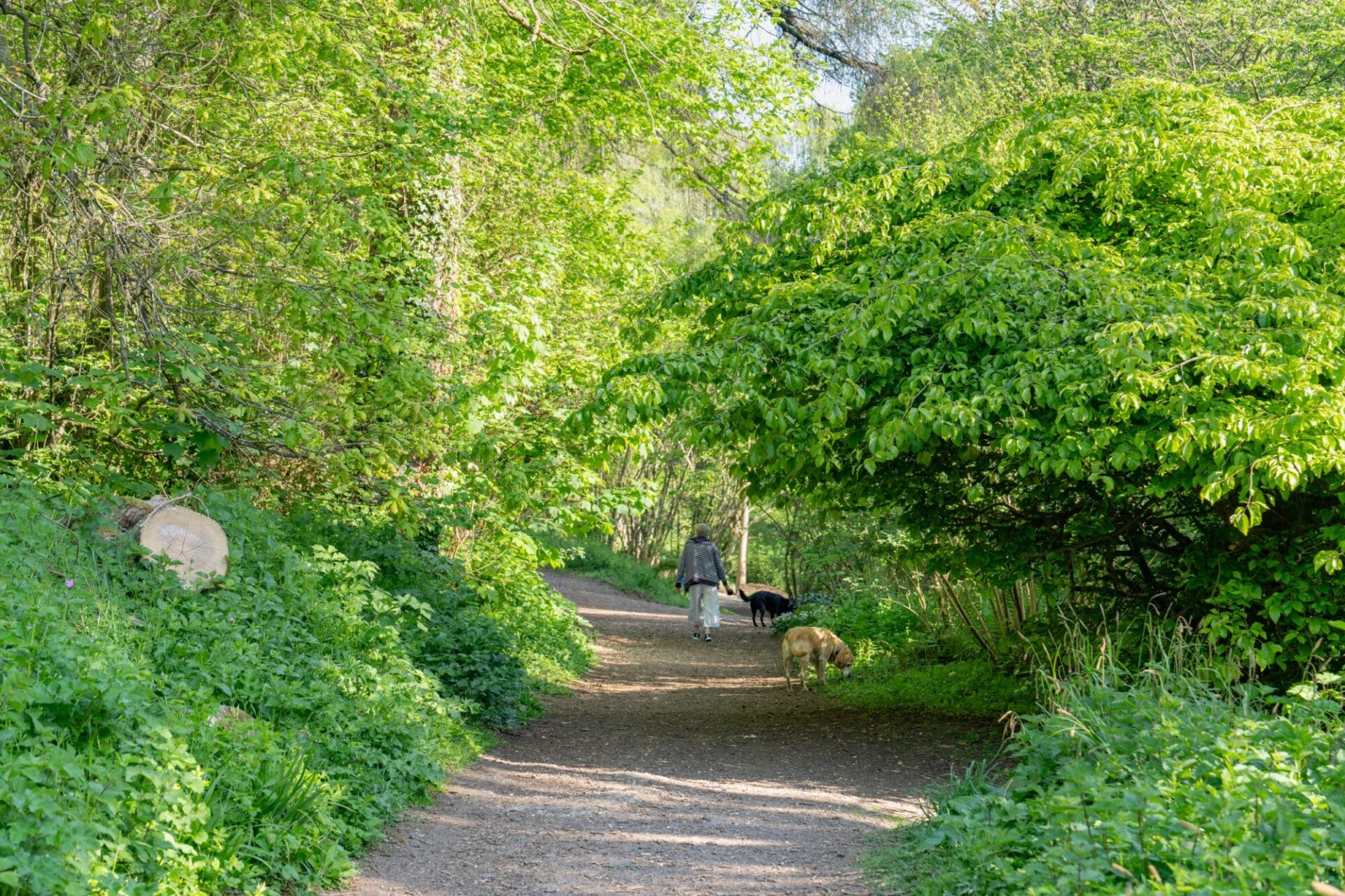 Brimsmore - Gallery - Local Area