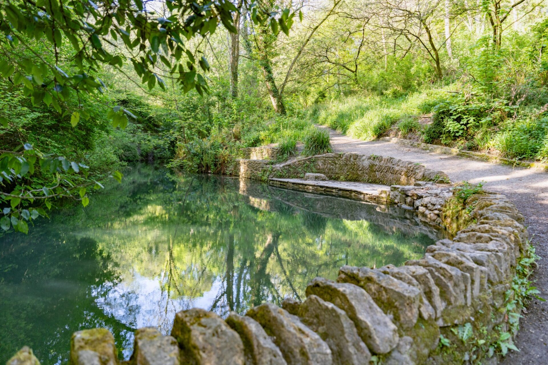 Brimsmore - Gallery - Local Area