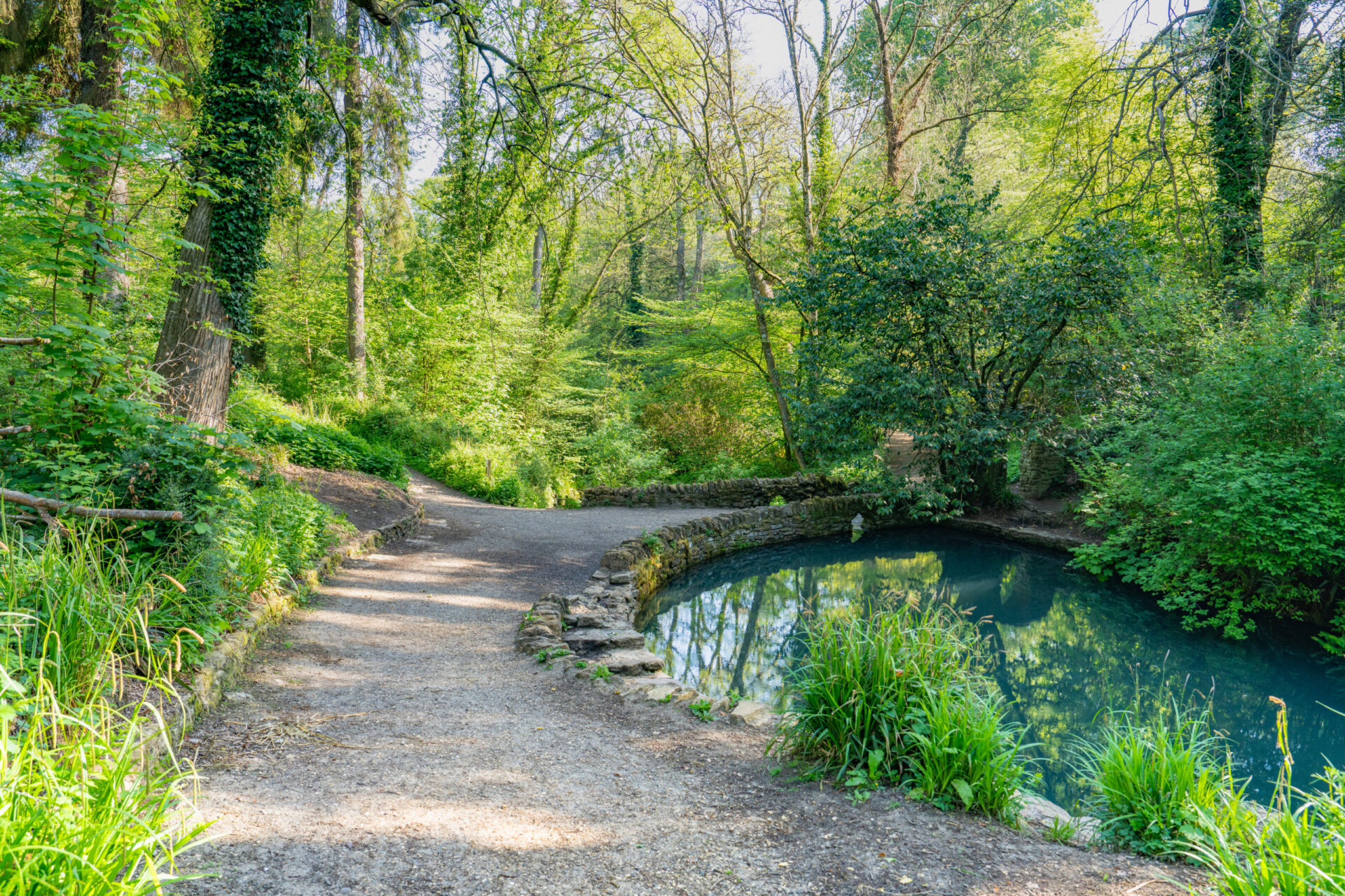 Brimsmore - Gallery - Exterior