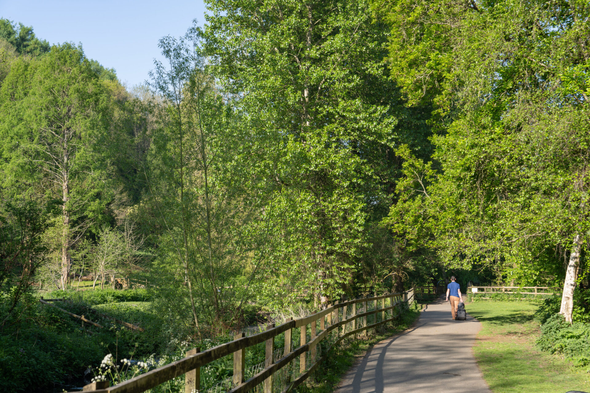 Brimsmore - Gallery - Exterior