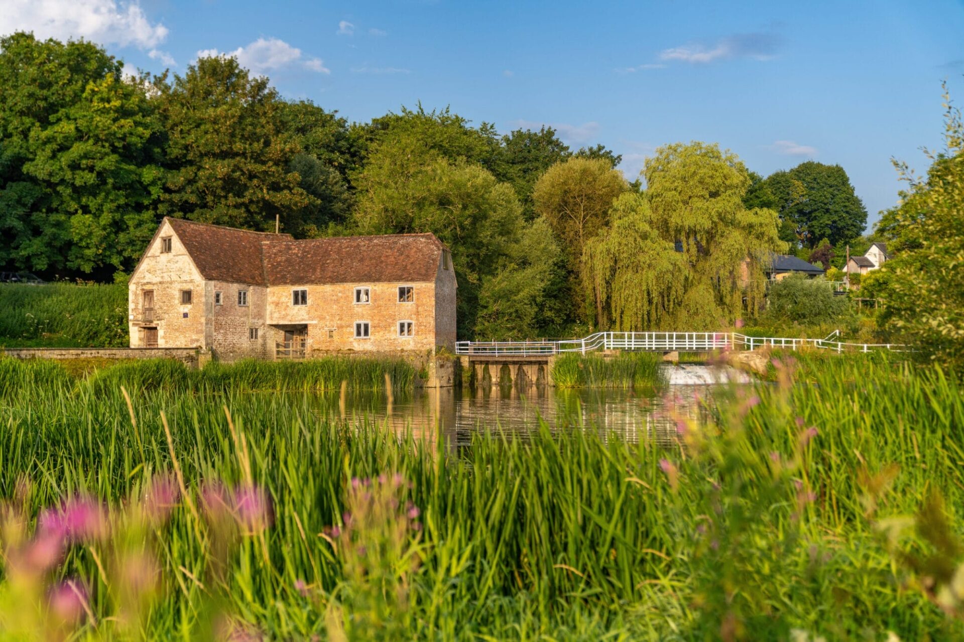 Fiddleford Ridge - Gallery - Local Area