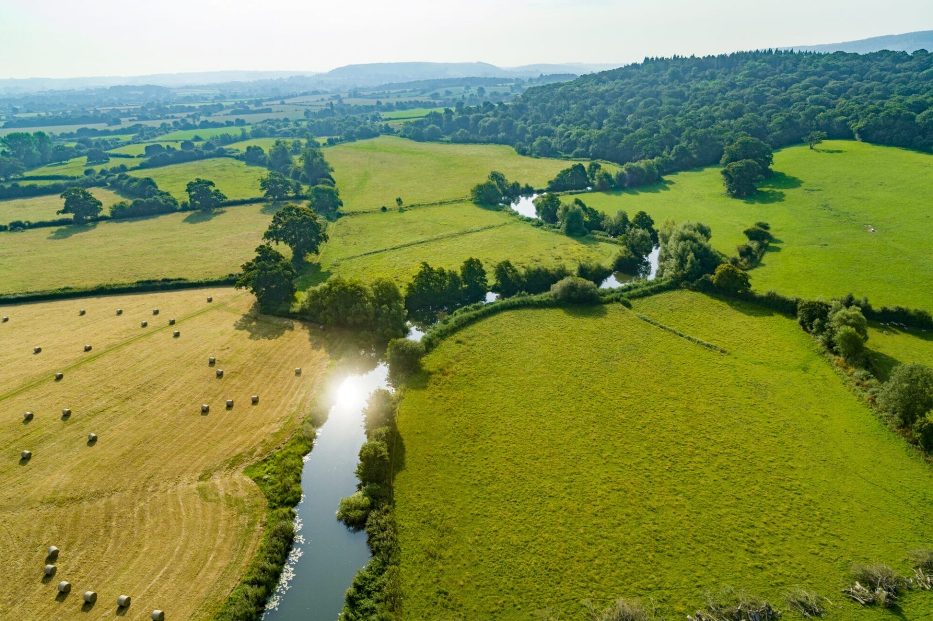 Fiddleford Ridge - Gallery - Local Area