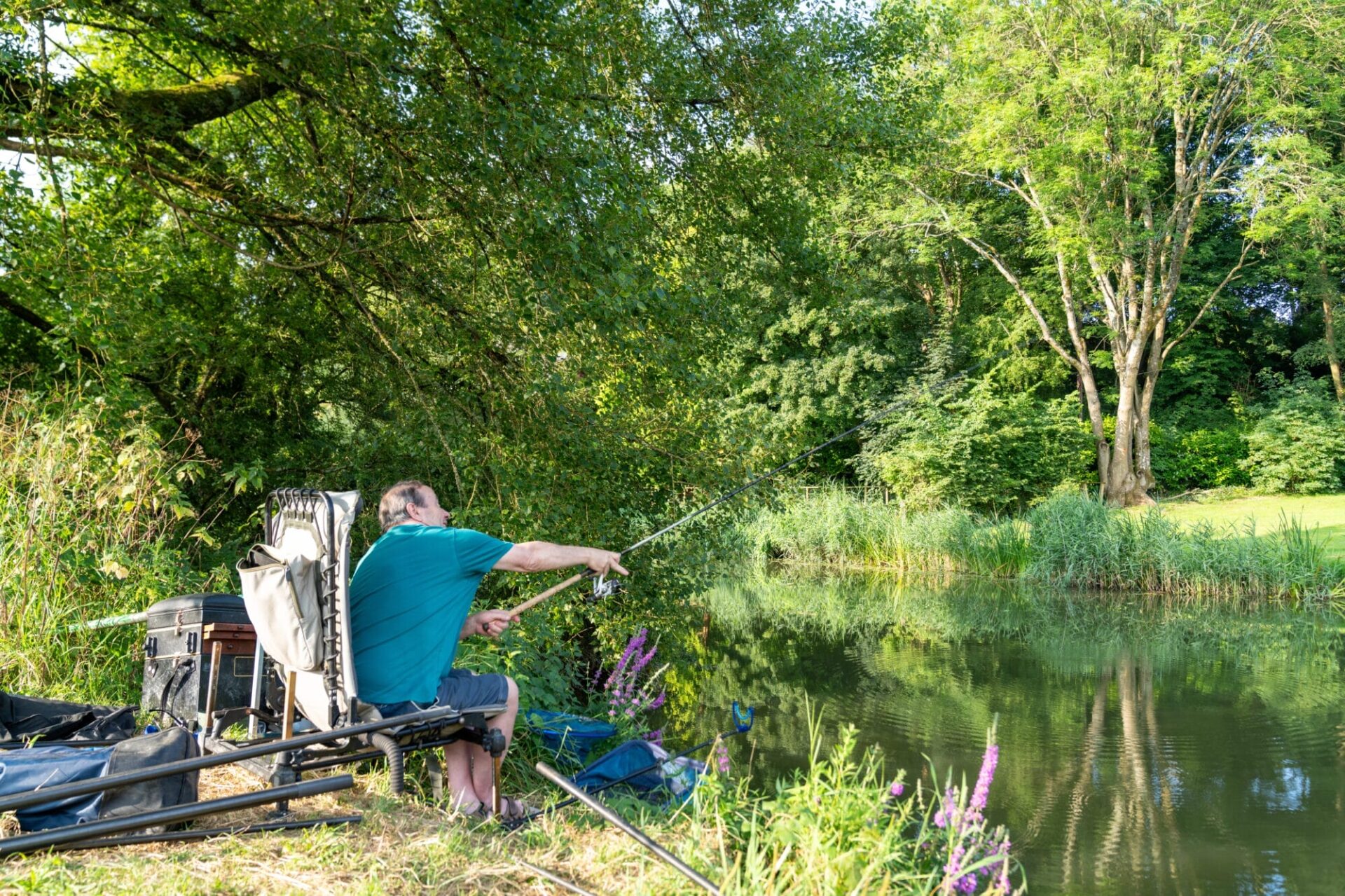 Fiddleford Ridge - Gallery - Local Area