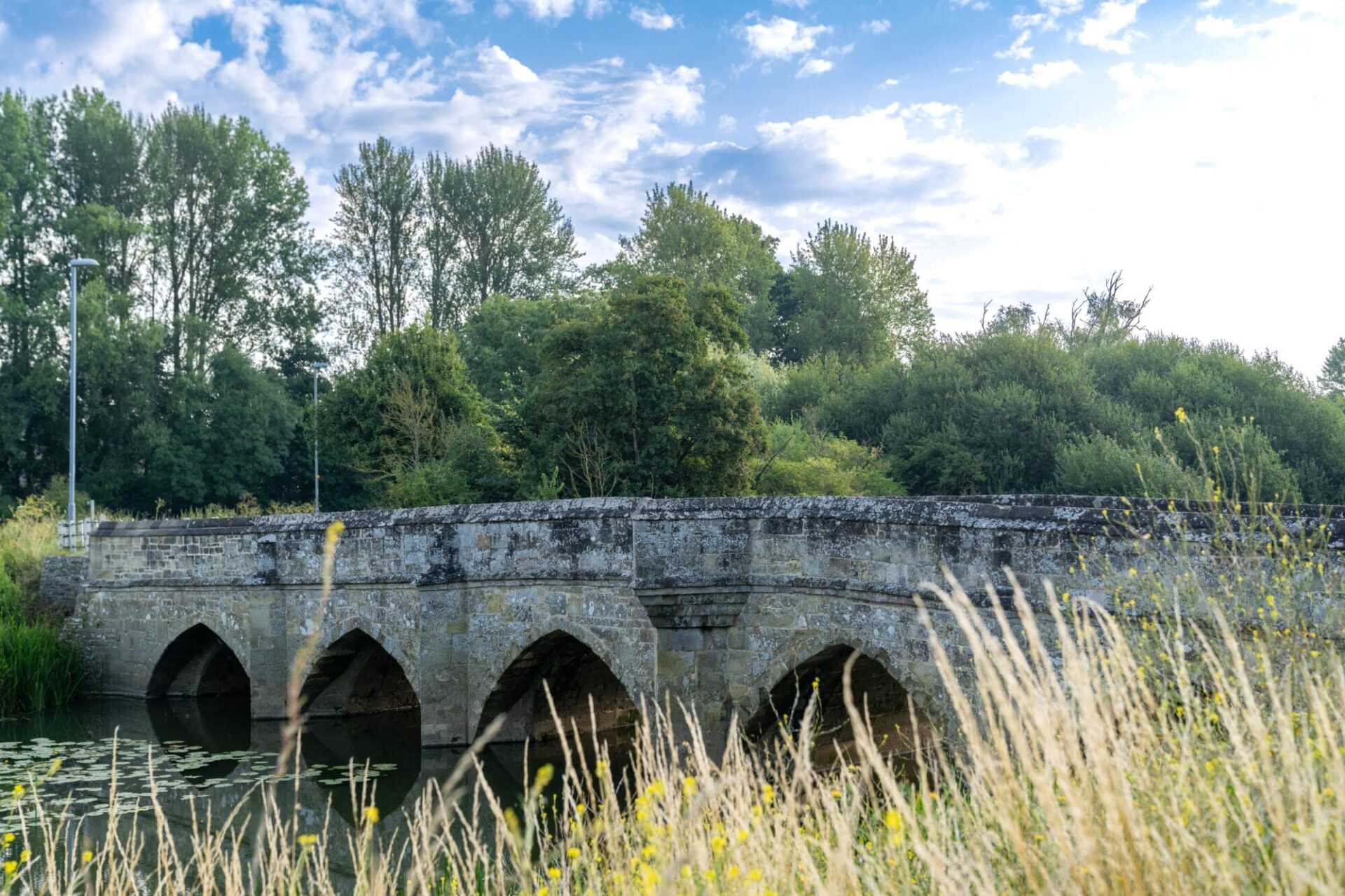 Fiddleford Ridge - Gallery - Local Area