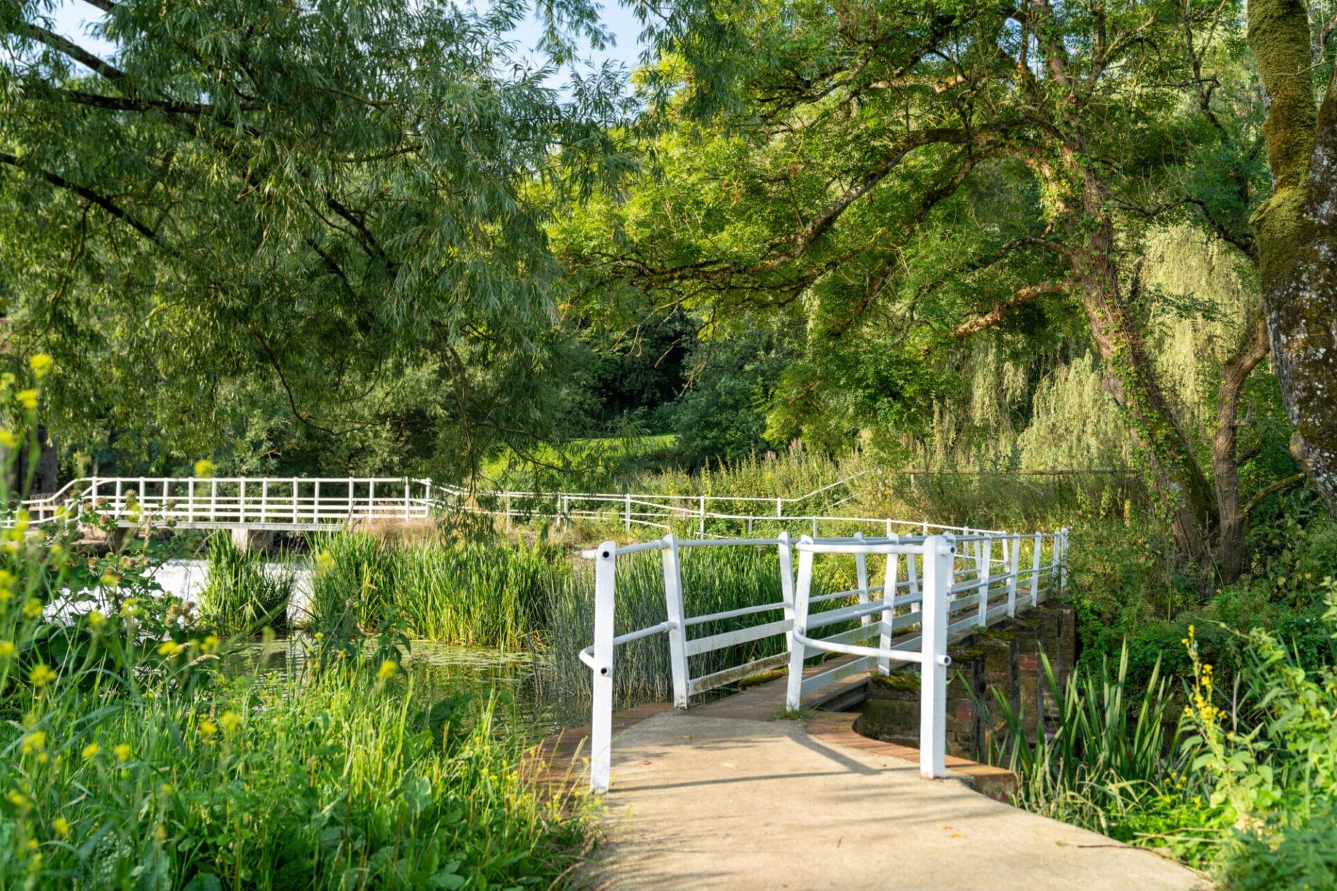Fiddleford Ridge - Gallery - Local Area