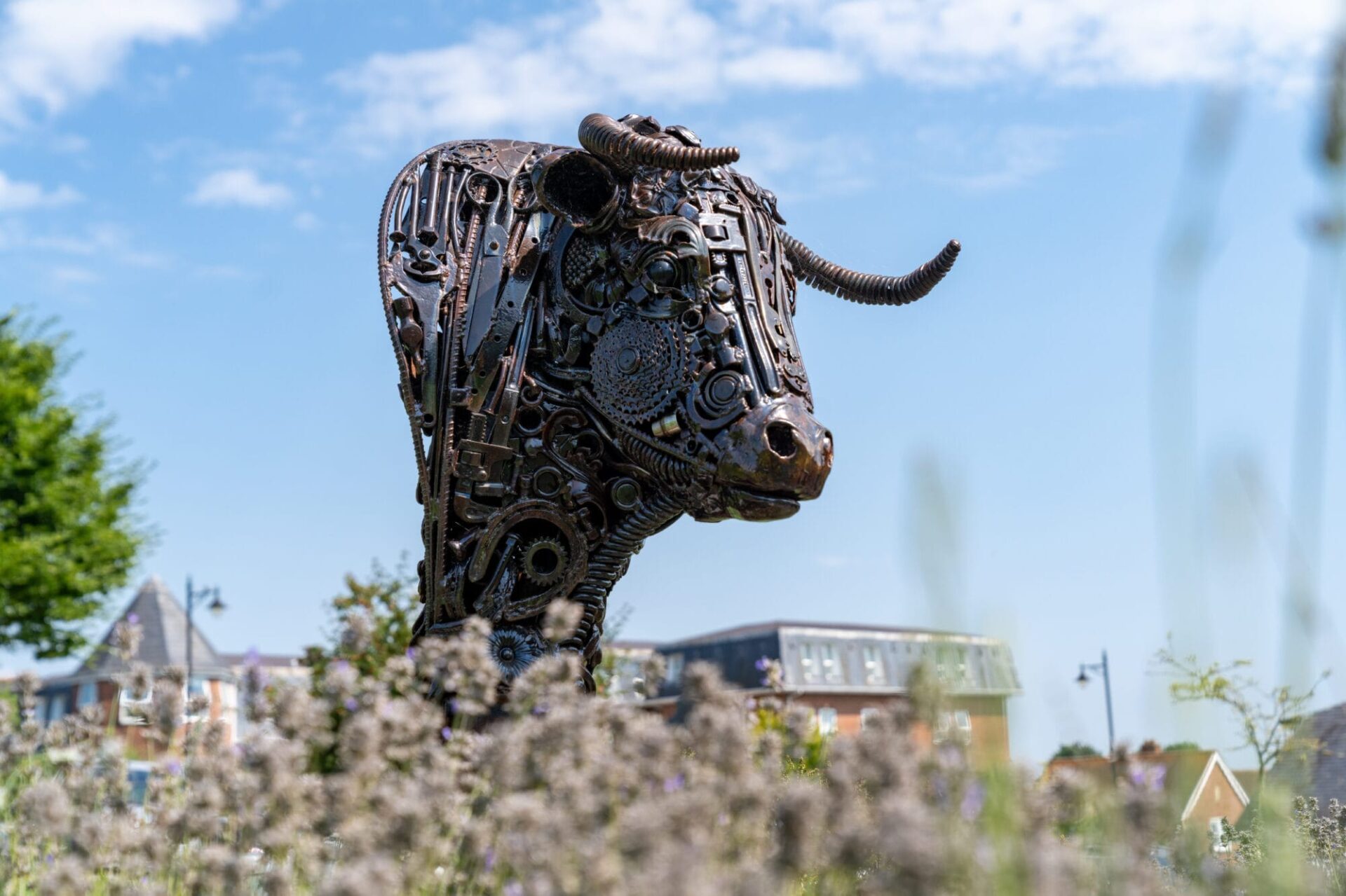 Fiddleford Ridge - Gallery - Local Area