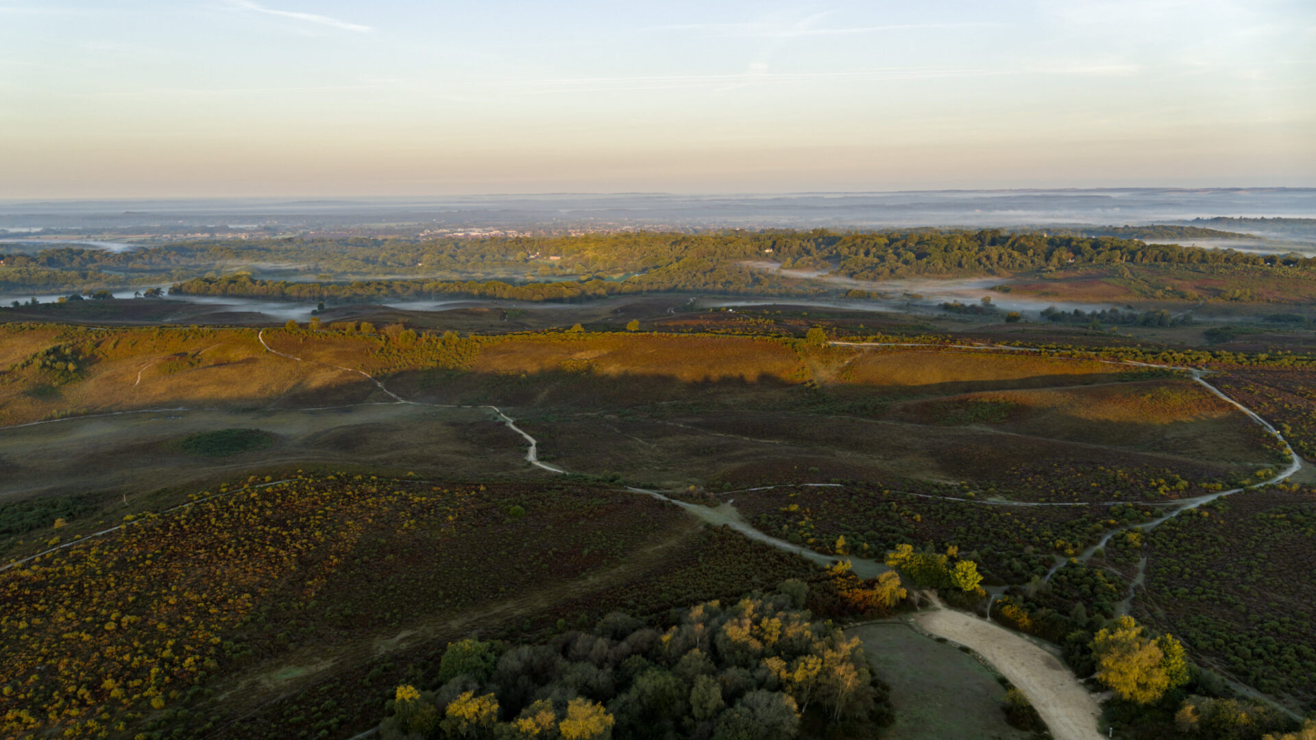 Wilberforce Green - Gallery - Local Area