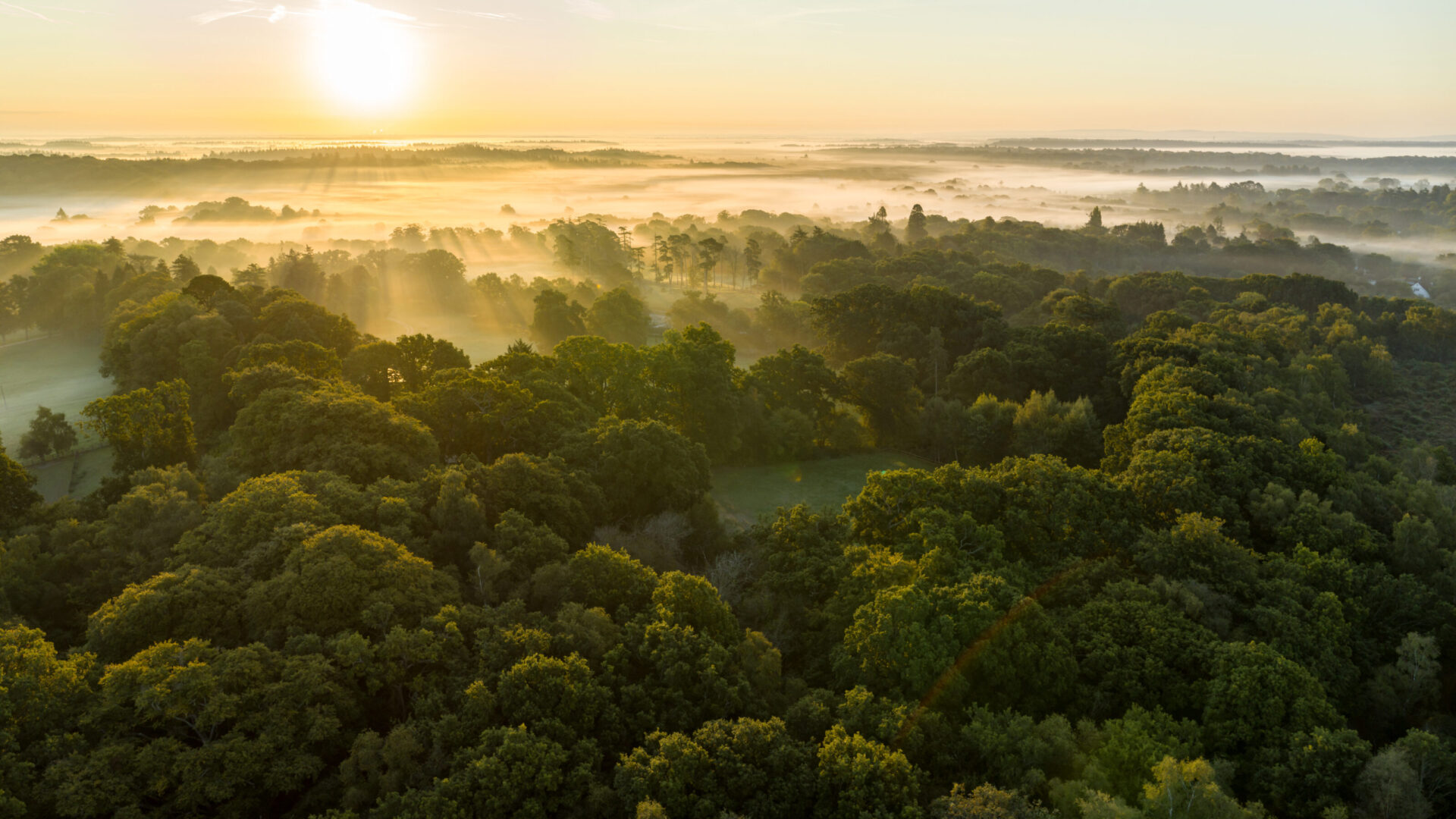 Wilberforce Green - Gallery - Local Area