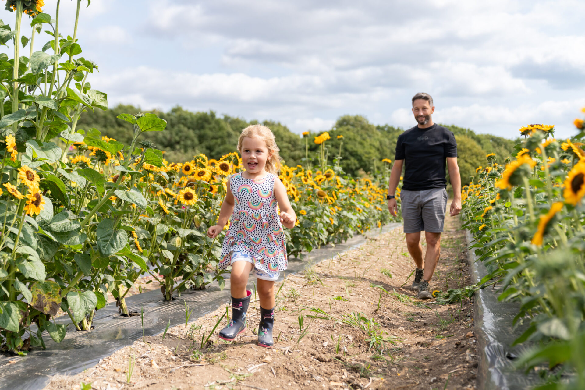 Wilberforce Green - Gallery - Local Area