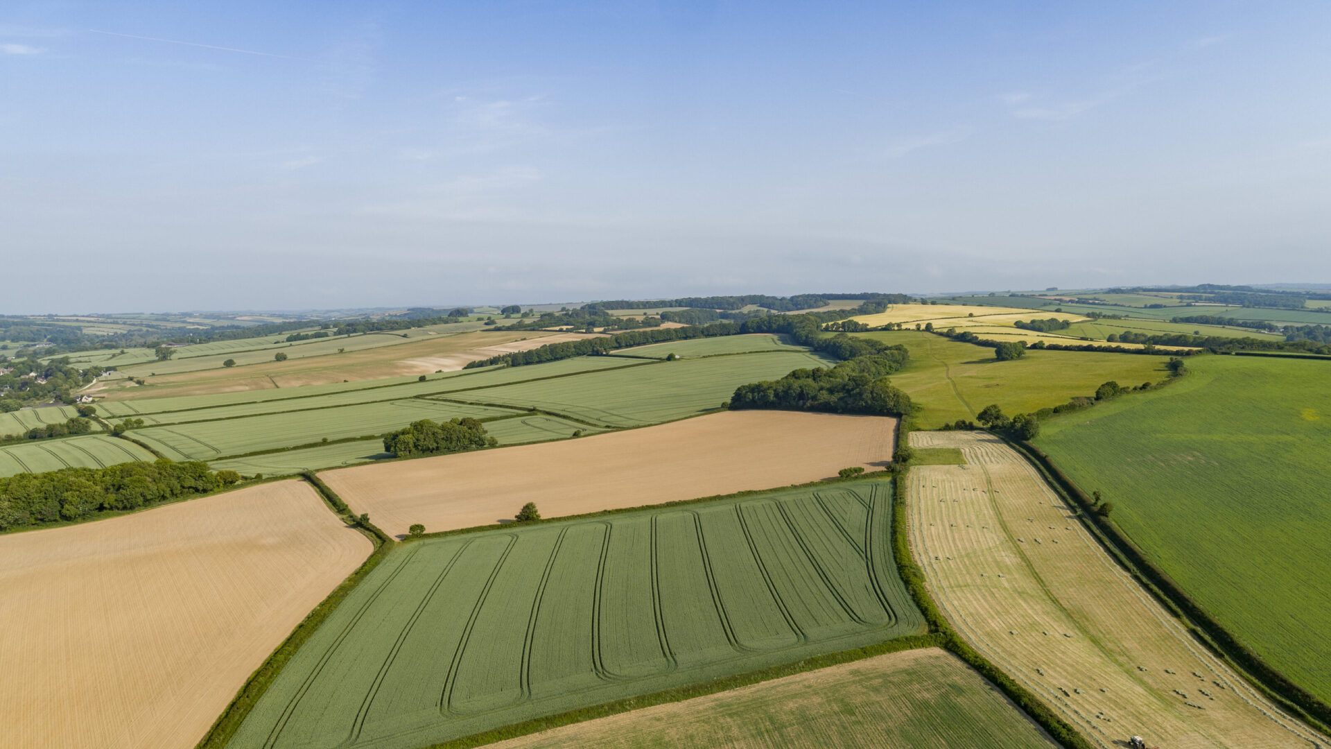 The Spire at Charminster Farm - Gallery - Local Area