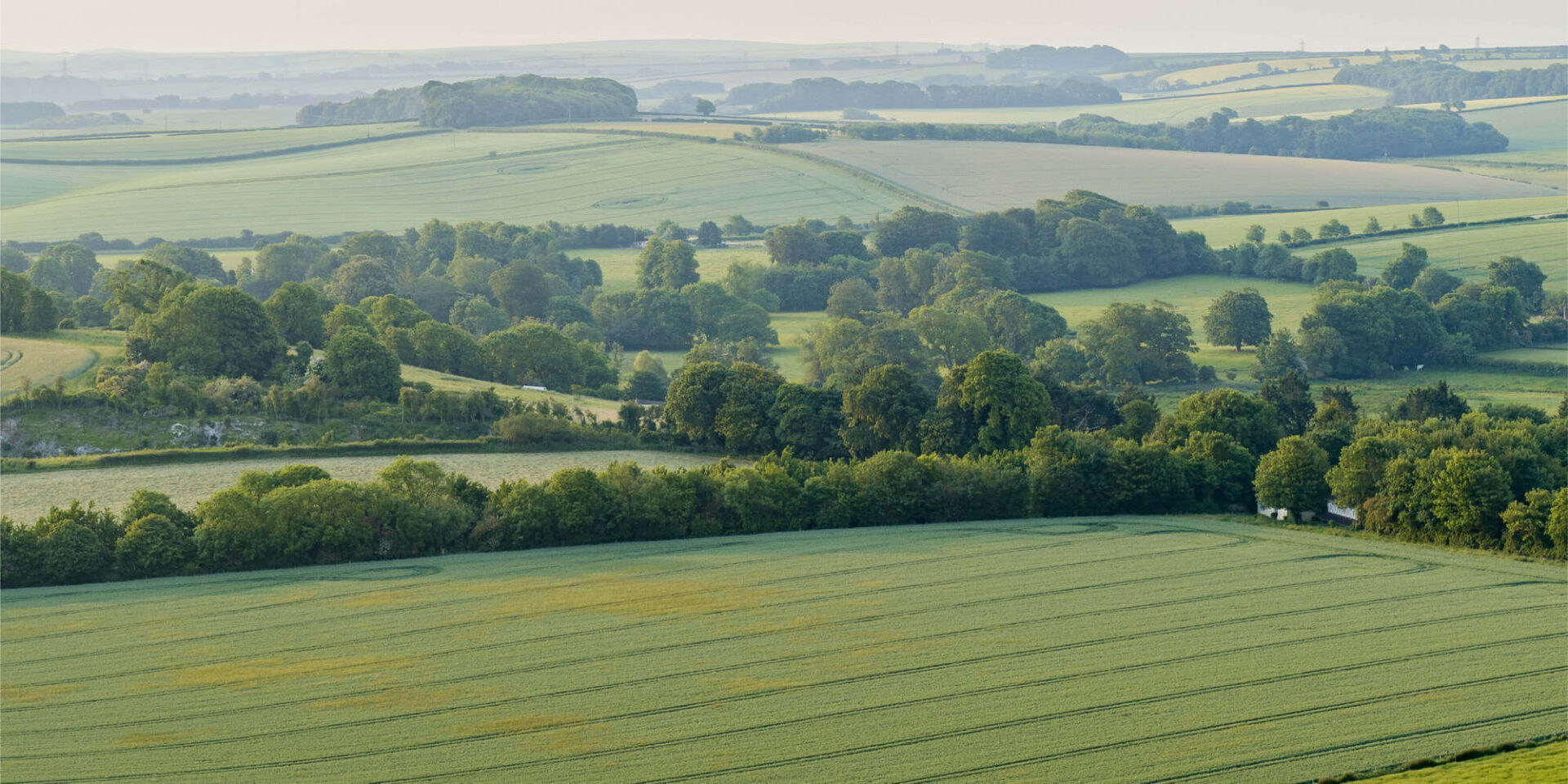 The Spire at Charminster Farm - Gallery - Local Area